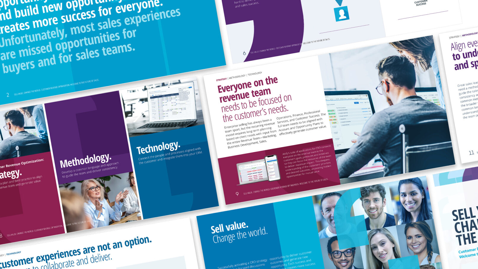 Altify Customer Revenue Optimization