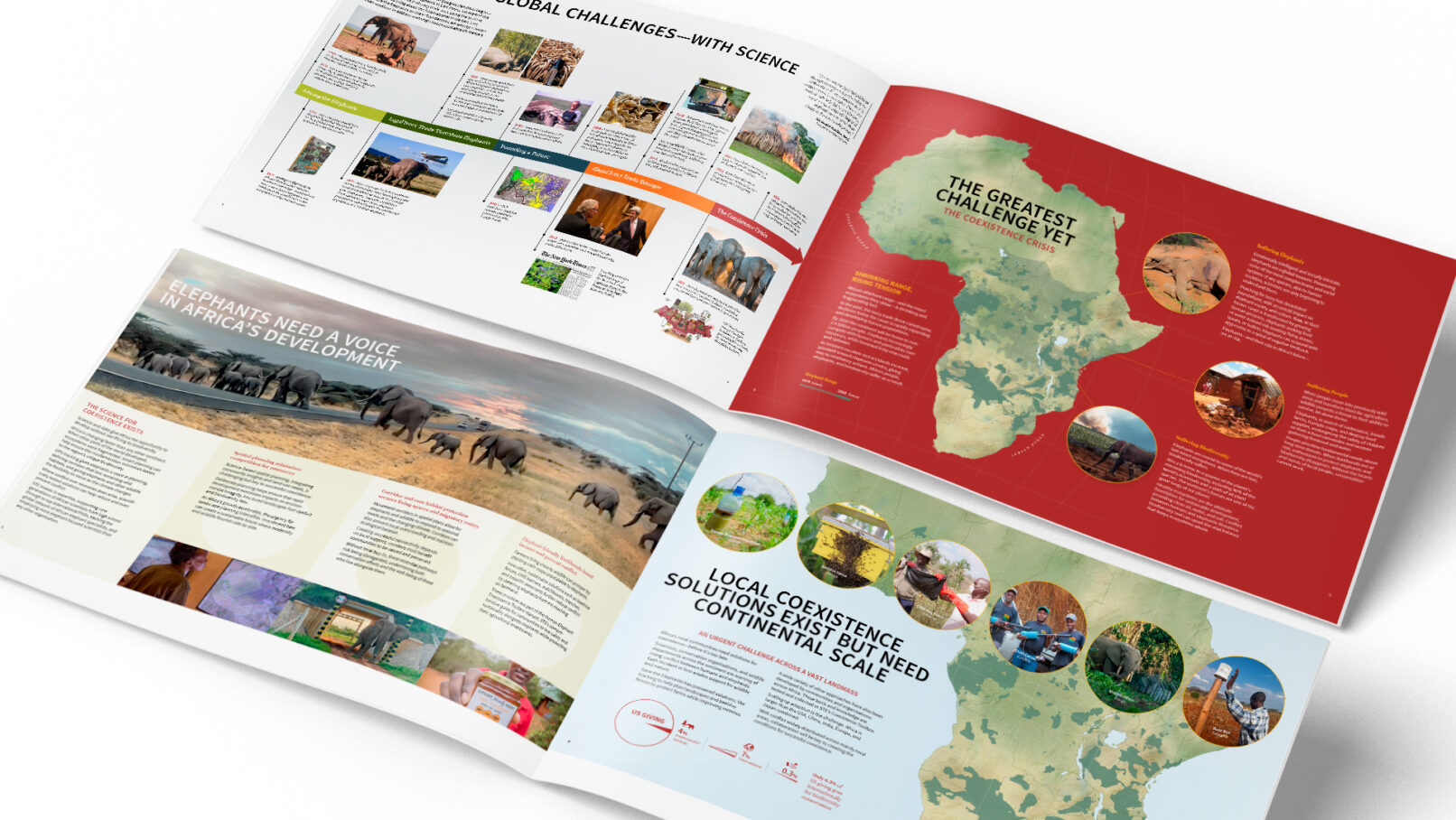 save-the-elephants-case-spread-intro-1080p Save the Elephants case for support intro